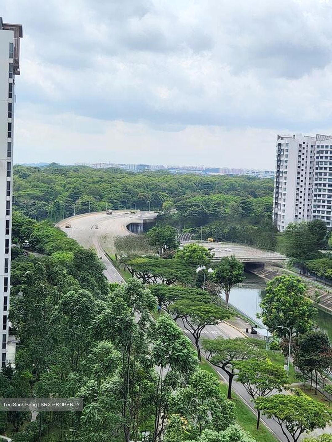Park Green (D19), Condominium #628401921